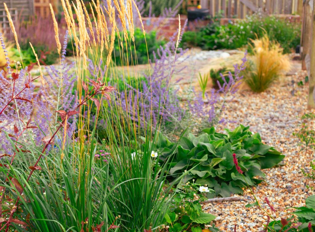 Naturalistic garden planting with layered perennials and ornamental grasses