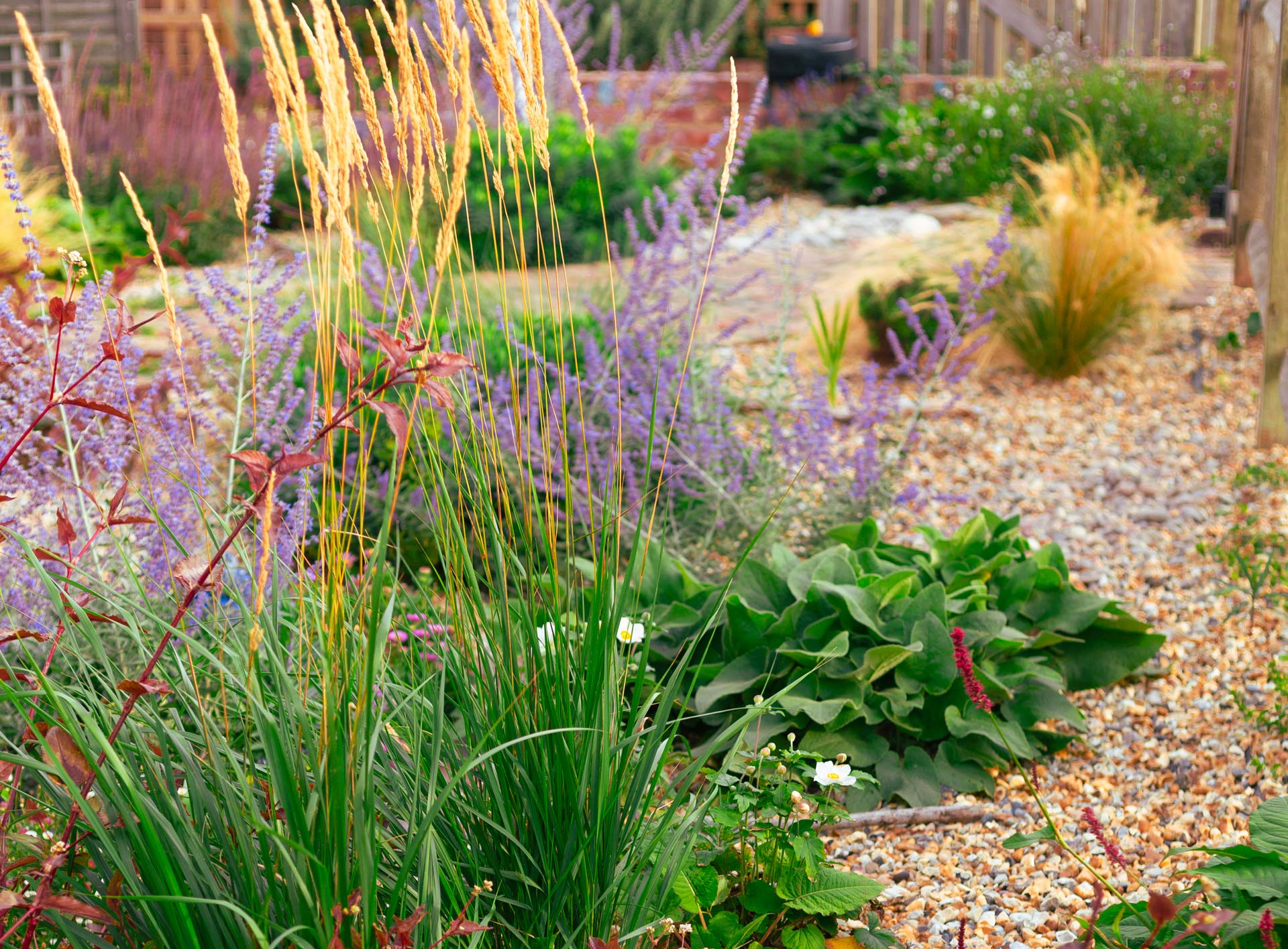 Naturalistic garden planting with layered perennials and ornamental grasses