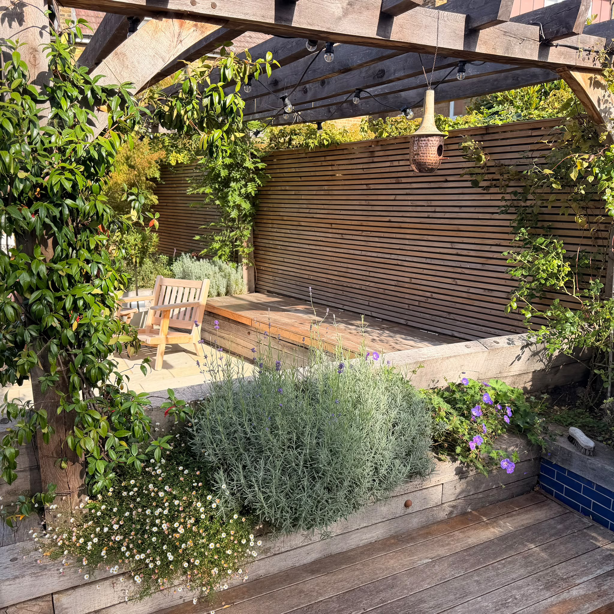 Mature September planting beside a timber pergola and garden seating area